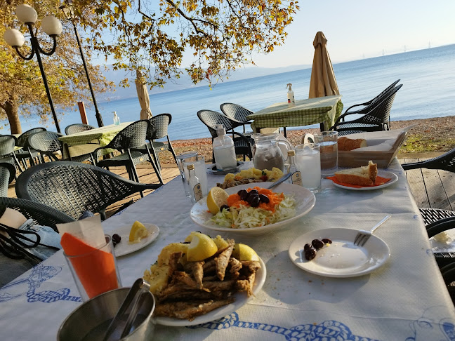 Opinii despre ΠΑΝΩ ΣΤΟ ΚΥΜΑ în Ναύπακτος - Γαστρονομία και φιλοξενία