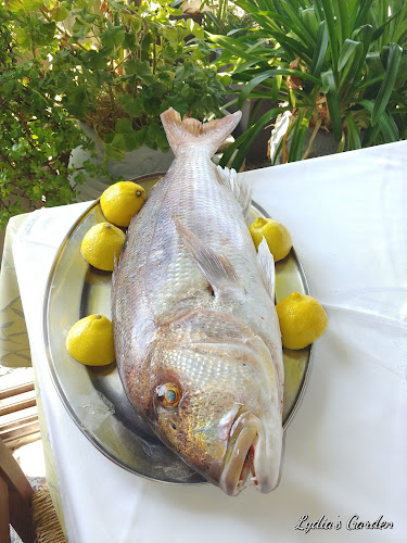 Ψαροταβέρνα ''KABOΣ'' - Γαστρονομία και φιλοξενία