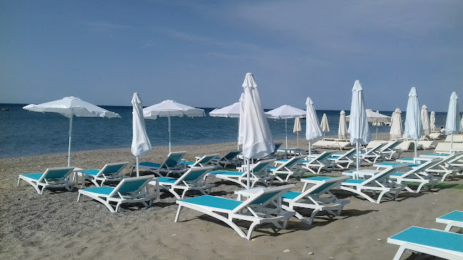 Green Parrot Beach Bar Rethymnon - Ρέθυμνο