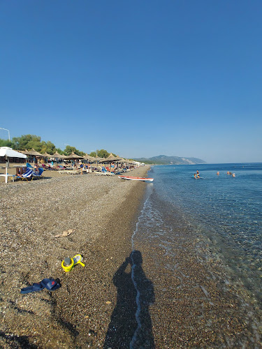 ΑΚΡΟΓΙΑΛΙ - Βατερά