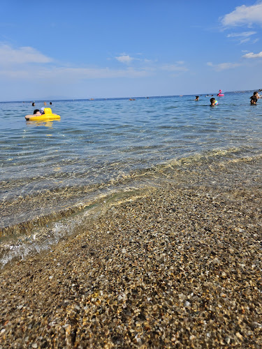 ΝΕΑ ΠΟΤΙΔΑΙΑ, ΧΑΛΚΙΔΙΚΗ 632 00