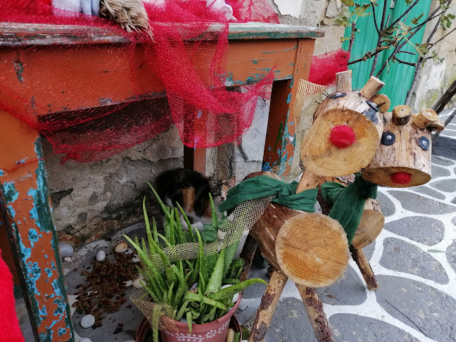 Comentarii opinii despre Super Market ''ΠΑΝΕΡΗΣ''