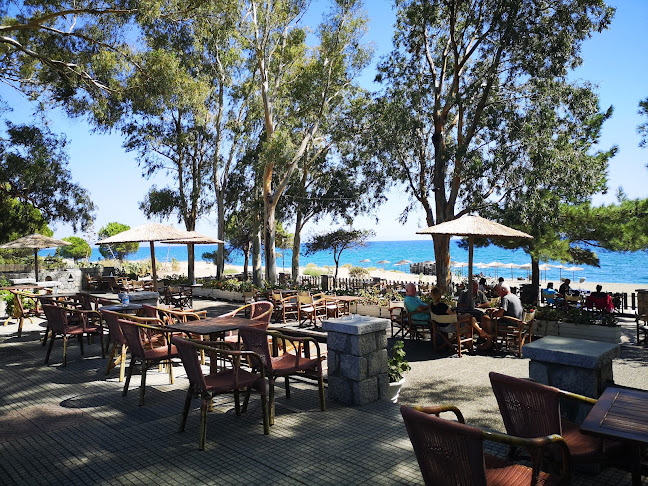 Ocean Cafe Bar Surf Club