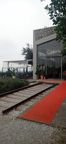 Comentarii opinii despre Gallaria
