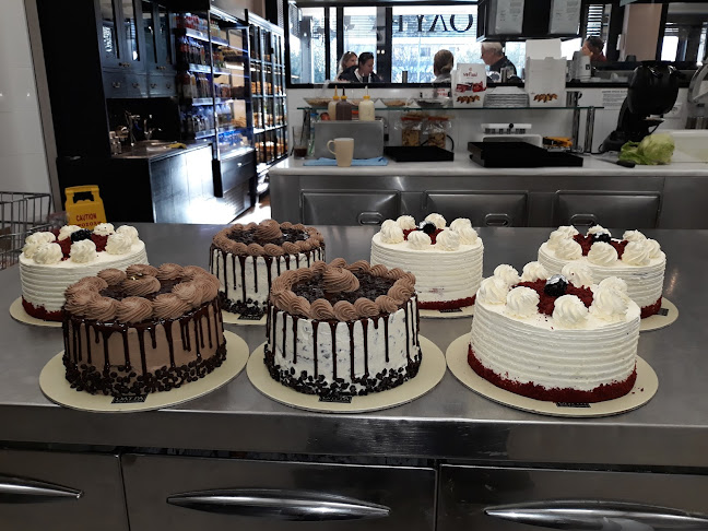 ΟΛΥΡΑ - Χολαργός