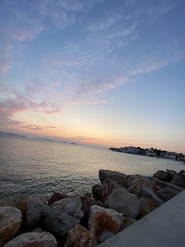 Comentarii opinii despre Ariston Brasserie