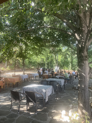 Παραδοσιακή Ταβερνα ΣΟΦΙΑ - Πιστιανά