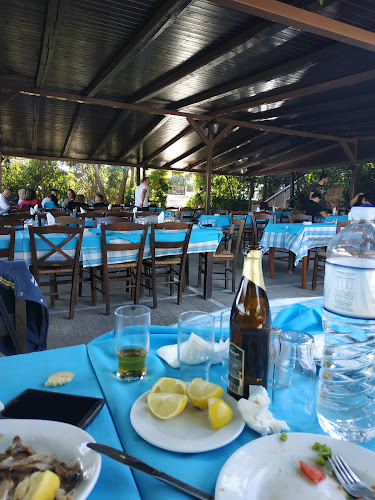 Comentarii opinii despre Ταβέρνα Ο Κώστας