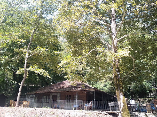 Κάτω Παλαιοκαρυά 420 32, Ελλάδα