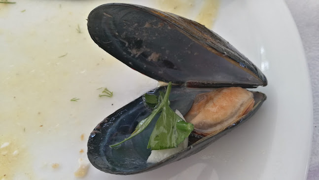 Comentarii opinii despre Το Κύμα