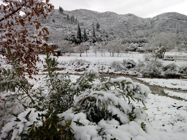 Comentarii opinii despre Ιππικός Όμιλος Ρίου