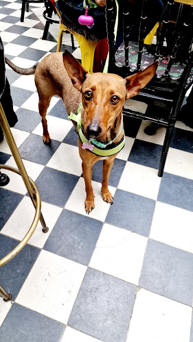 Upupa Epops - The bar - Γαστρονομία και φιλοξενία