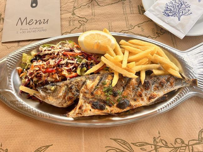 Steki Grill Restaurant - Γαστρονομία και φιλοξενία