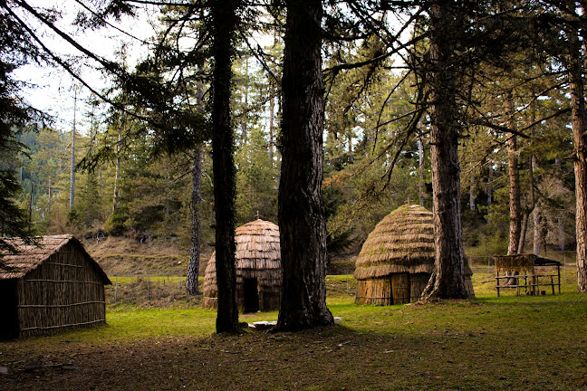 Στανη - Γαστρονομία και φιλοξενία