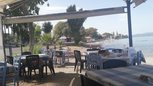 Comentarii opinii despre ΤΟ ΚΟΡΑΛΛΙ