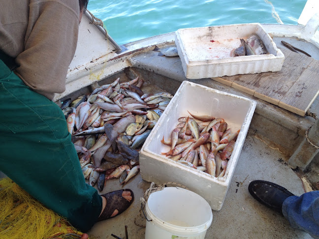 Opinii despre Εν Πλω în Κυπαρισσία - Γαστρονομία και φιλοξενία