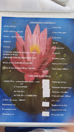 Comentarii opinii despre Εστιατόριο «Νούφαρα»