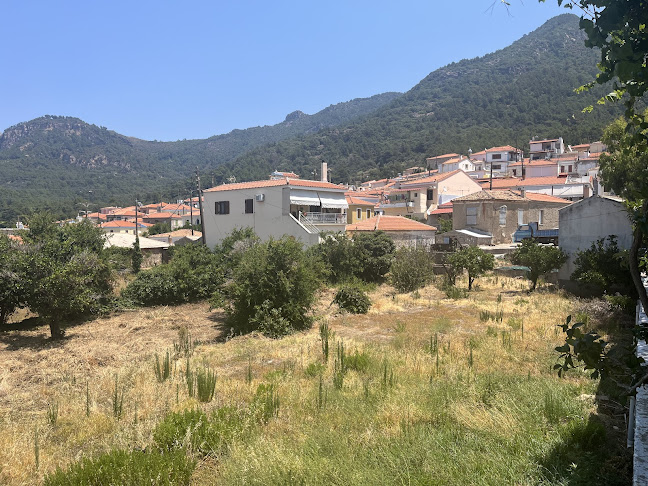 Comentarii opinii despre Taverna Ydroussa