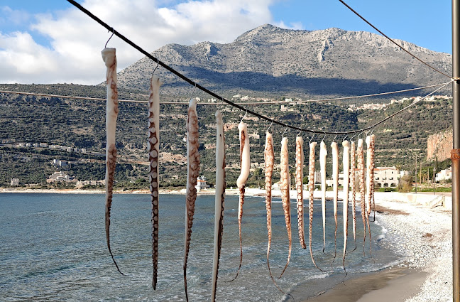 Νέο Οίτυλο 230 62