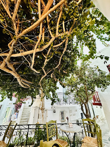 Comentarii opinii despre Cafe Symposium Paros