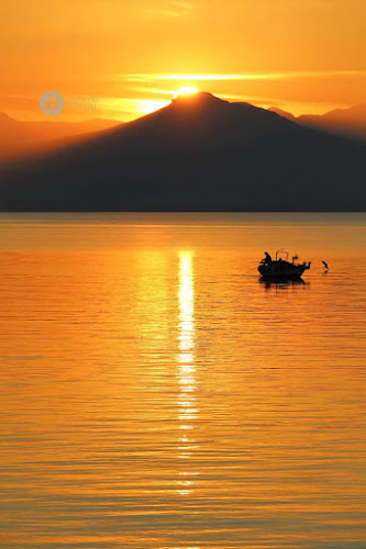 La Playa - Γαστρονομία και φιλοξενία