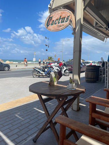 Comentarii opinii despre Cactus