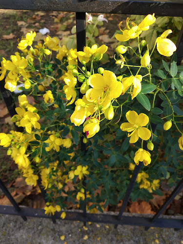 Comentarii opinii despre Ταβέρνα ο Κισσας