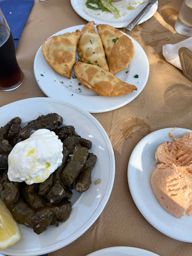 Comentarii opinii despre antikastro