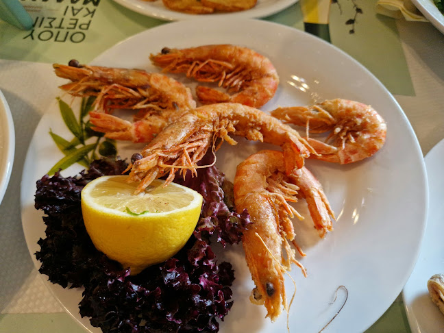 Comentarii opinii despre Το ΟΥΖΕΡΙ ΤΗΣ ΦΩΤΕΙΝΗΣ.to ouzeri tis foteinis