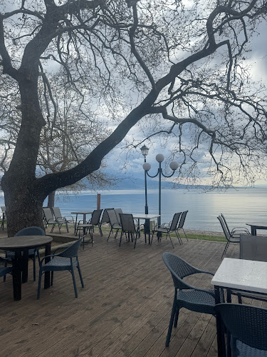 ΠΑΝΩ ΣΤΟ ΚΥΜΑ