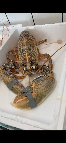 Fresh Fish GIazitzis - Kavala