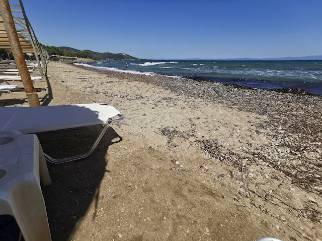 Ανεμοκάμπι-Anemokampi - Γαστρονομία και φιλοξενία