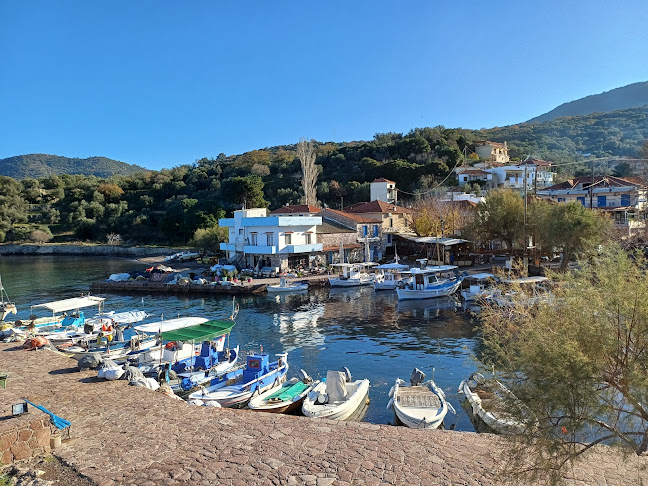 Η ΜΟΥΡΙΑ ΤΟΥ ΜΥΡΙΒΗΛΗ