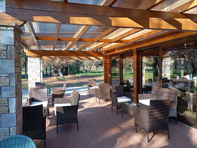 Δάσος Κουρί, Αλμυρός 371 00