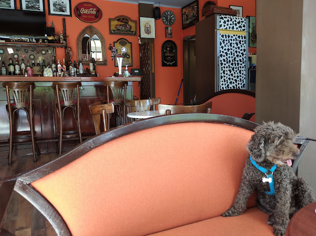 Comentarii opinii despre Mosquito Rock Cafe Bar