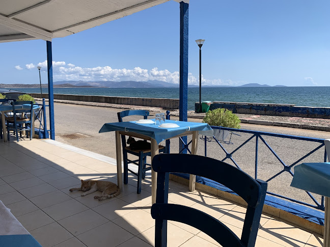 Λεωφ. Ποσειδώνος 55, Αγ. Παντελεήμων 190 07