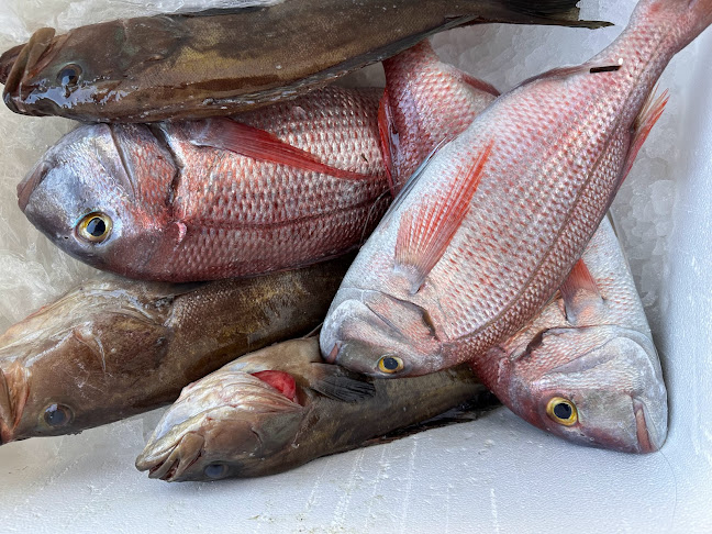 Ηροδότου 63, Νέα Αλικαρνασσός 716 01