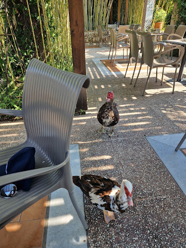 Comentarii opinii despre Enasma cafe