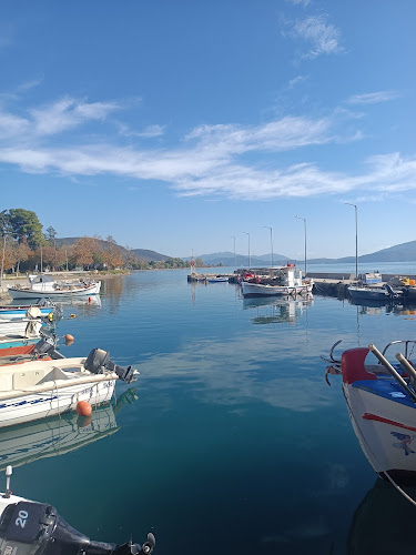 Comentarii opinii despre Το Λιμανάκι Πελασγία