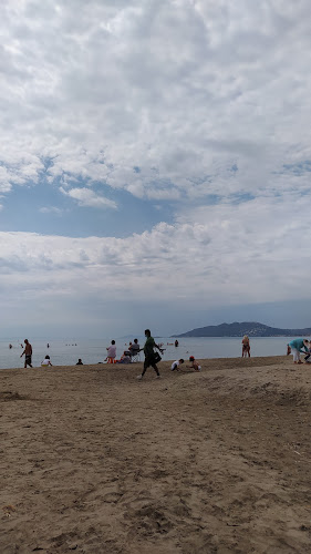 Θοή δαίς beach bar - Γαστρονομία και φιλοξενία