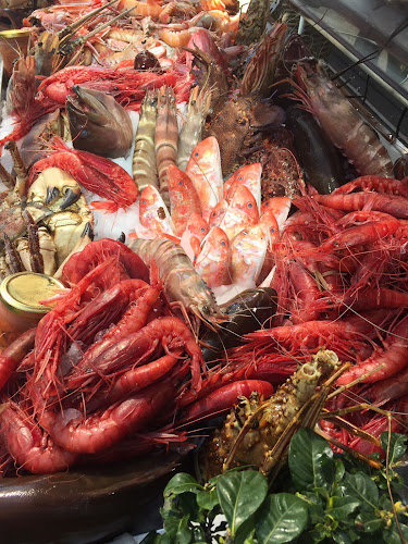 ΙΩΛΚΟΣ - Γεύσεις Θάλασσας