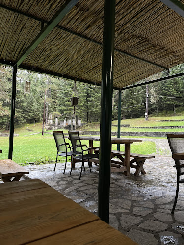 Comentarii opinii despre Στανη