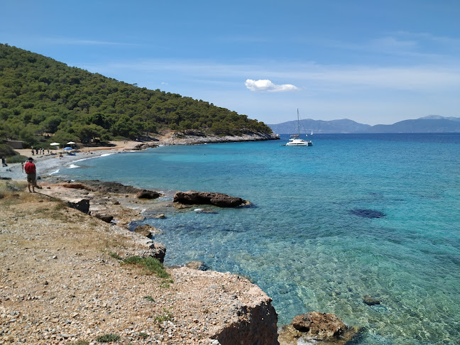 Dragonera beach bar - Γαστρονομία και φιλοξενία