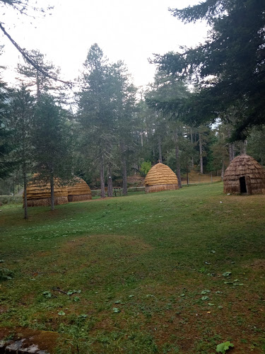 Σκαμνέλι, Γυφτόκαμπος Σκαμνέλι 440 10