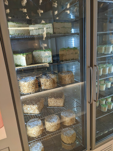 Kentriki diastavrosi, Paros 844 00