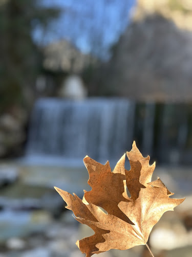 Αναψυκτήριο Πόζαρ - Γαστρονομία και φιλοξενία