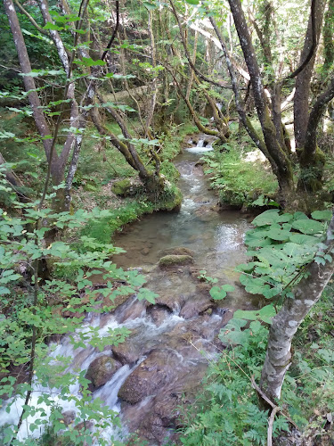 Ταβέρνα Δροσιά