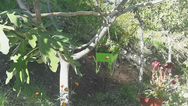 Comentarii opinii despre Enigma Kafe Ag Dimitrios