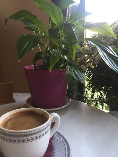 Comentarii opinii despre Chevalier