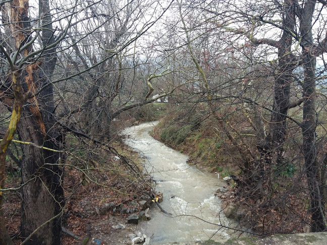 Comentarii opinii despre friendly cafe-bus station